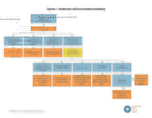 Epl Process Reproductive Health Access Project (RHAP) | 2017-11-EPL-algorithm ...