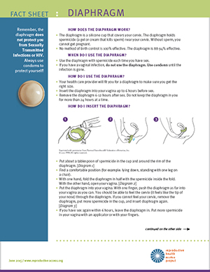 diaphragm insert user guide basics explains answers common such questions use